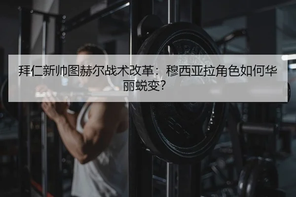 bai-ren-xin-shuai-tu-he-er-zhan-shu-gai-ge-mu-xi-ya-la-jue-se-ru-he-hua-li-tui-bian-2-423.jpg